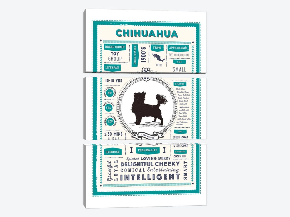 Chihuahua - Long Coated Infographic Blue 3-piece Art Print