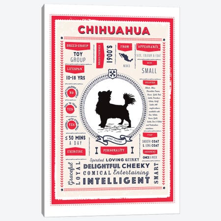Chihuahua - Long Coated Infographic Red Canvas Print #PPX210} by PaperPaintPixels Canvas Art Print