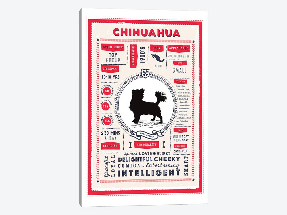 Chihuahua - Long Coated Infographic Red by PaperPaintPixels 1-piece Canvas Print