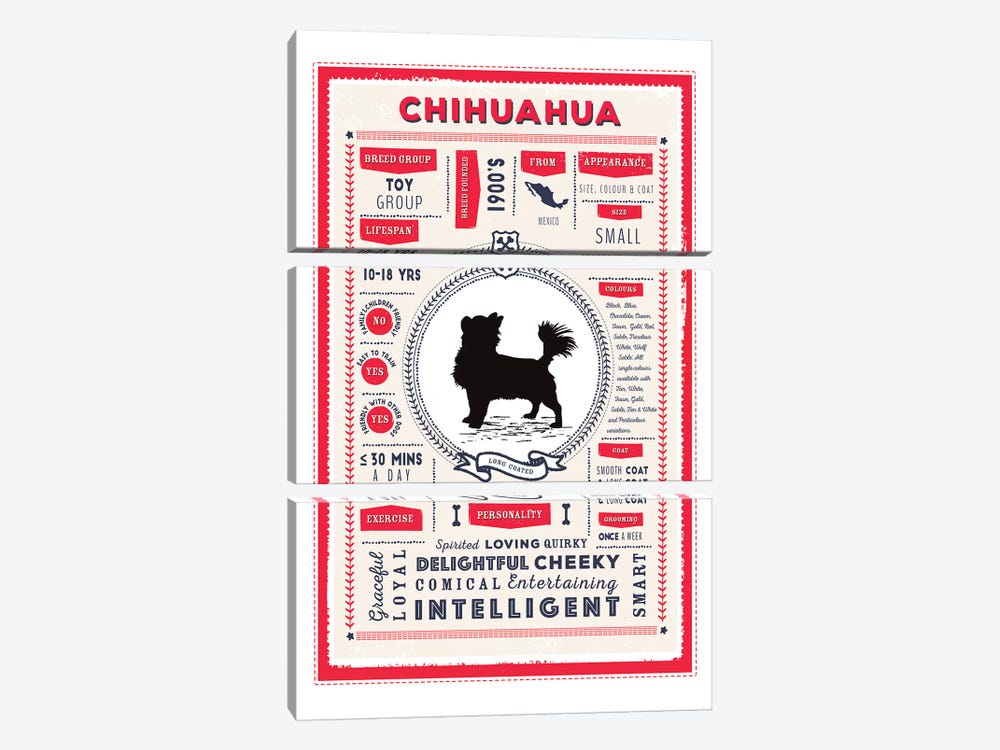 Chihuahua - Long Coated Infographic Red by PaperPaintPixels 3-piece Art Print