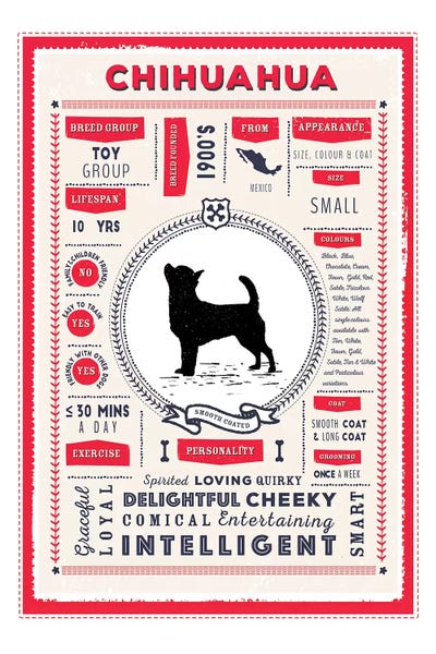 Chihuahua - Smooth Coated Infographic Red by PaperPaintPixels metal wall art