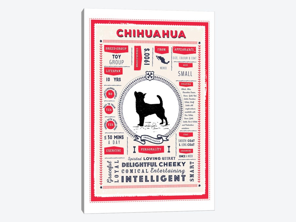 Chihuahua - Smooth Coated Infographic Red 1-piece Canvas Wall Art