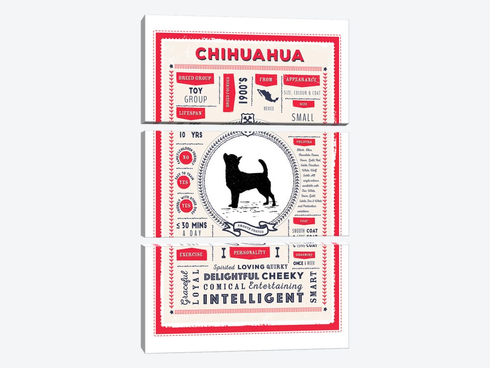 Chihuahua - Smooth Coated Infographic Red by PaperPaintPixels 3-piece Canvas Art