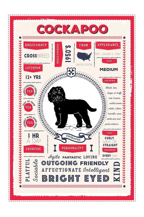 Cockapoo Infographic Red by PaperPaintPixels canvas print