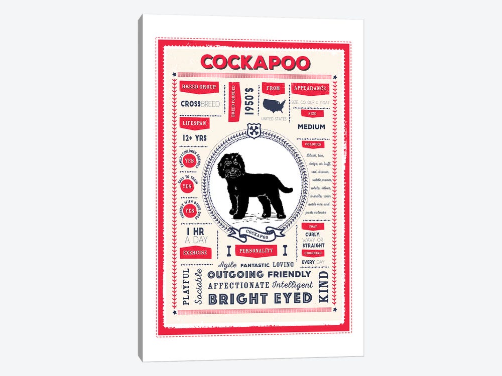 Cockapoo Infographic Red by PaperPaintPixels 1-piece Canvas Art Print