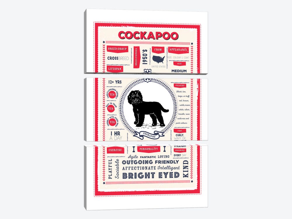 Cockapoo Infographic Red by PaperPaintPixels 3-piece Canvas Art Print