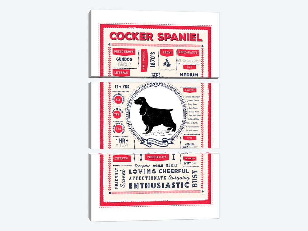 Cocker Spaniel Infographic Red by PaperPaintPixels 3-piece Art Print