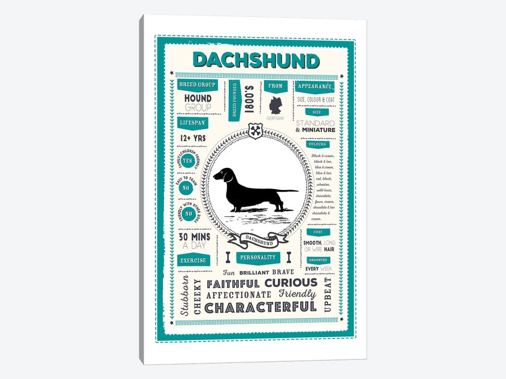 Dachshund Infographic Blue by PaperPaintPixels 1-piece Canvas Wall Art
