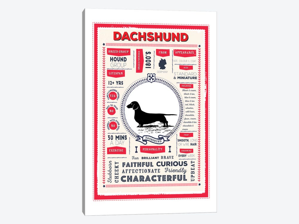 Dachshund Infographic Red by PaperPaintPixels 1-piece Canvas Art Print