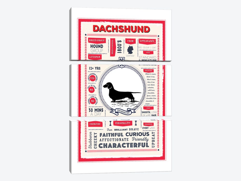 Dachshund Infographic Red by PaperPaintPixels 3-piece Canvas Art Print