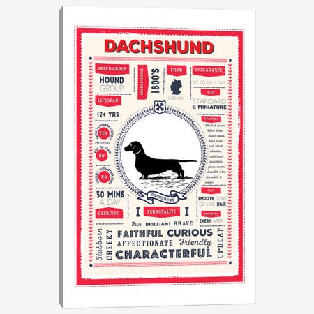 Dachshund Infographic Red Canvas Print #PPX216} by PaperPaintPixels Canvas Wall Art