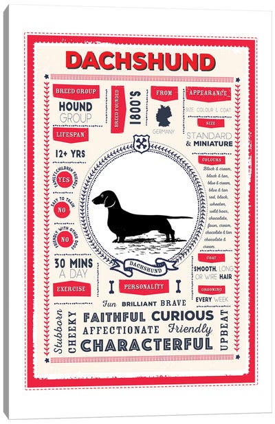 Dachshund Infographic Red Canvas Art Print - PaperPaintPixels