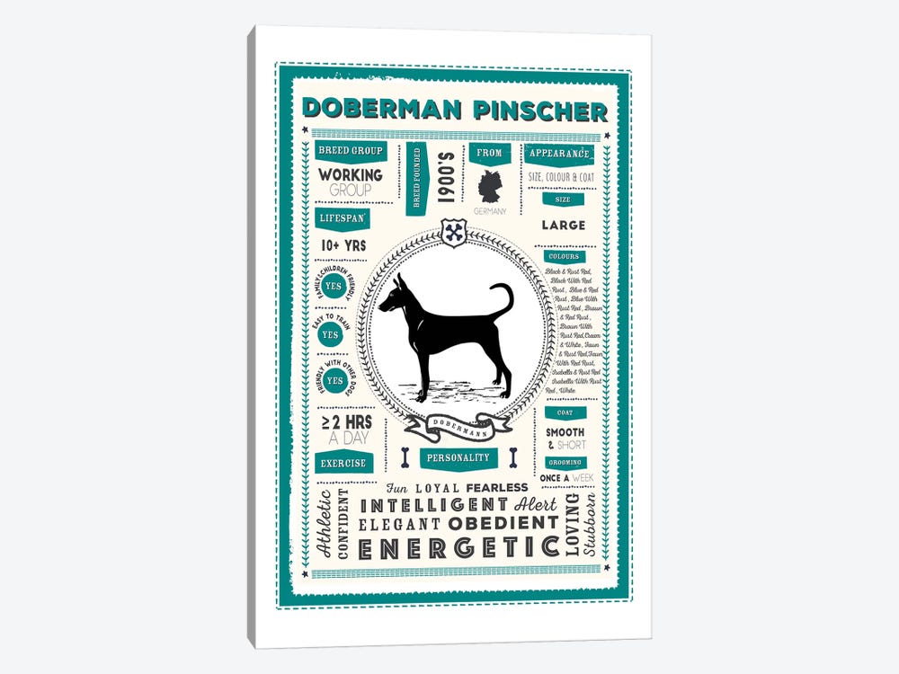 Doberman Pinscher Infographic Blue by PaperPaintPixels 1-piece Canvas Artwork