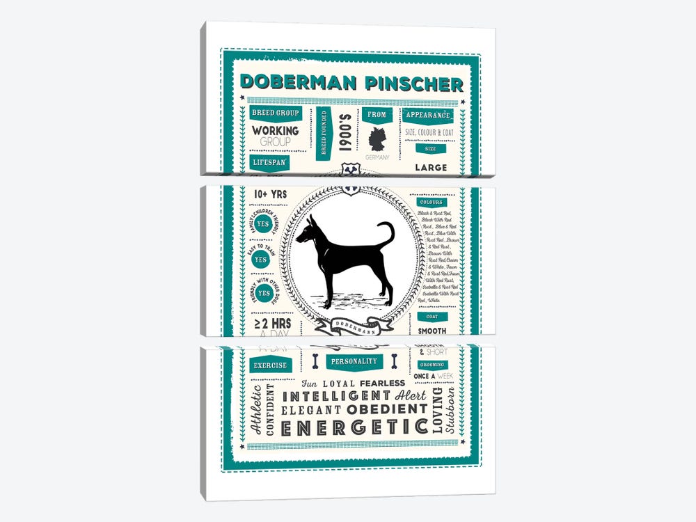 Doberman Pinscher Infographic Blue by PaperPaintPixels 3-piece Canvas Art