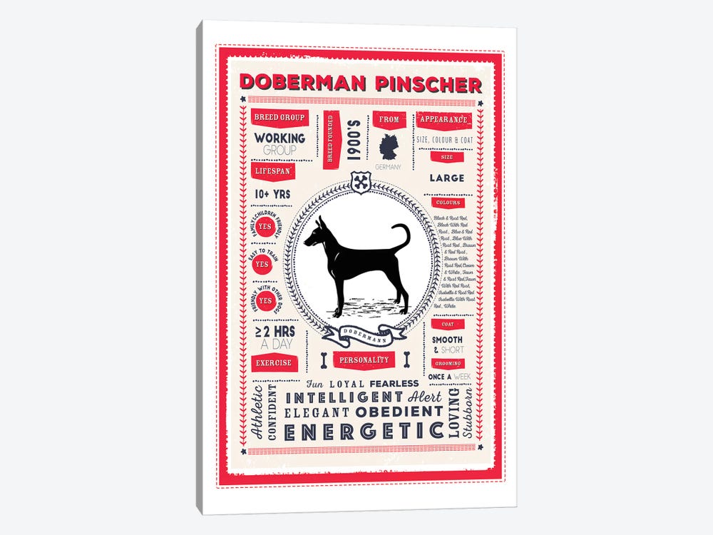 Doberman Pinscher Infographic Red by PaperPaintPixels 1-piece Canvas Print
