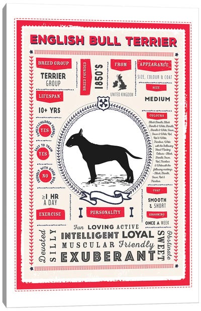 English Bull Terrier Infographic Red Canvas Art Print - Bull Terrier Art