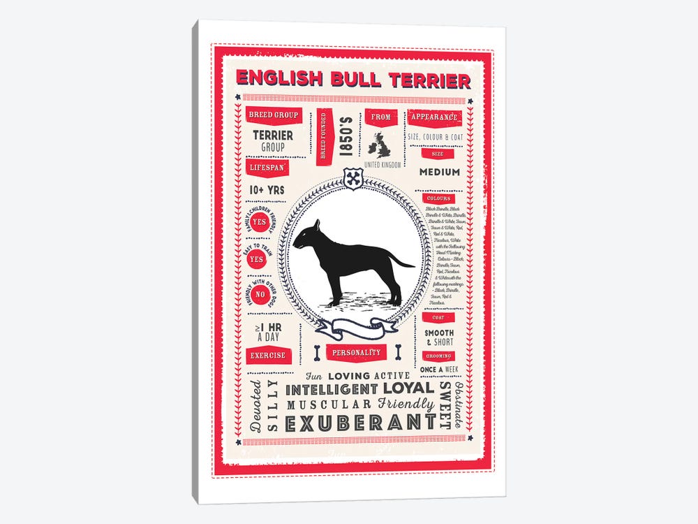 English Bull Terrier Infographic Red by PaperPaintPixels 1-piece Canvas Wall Art
