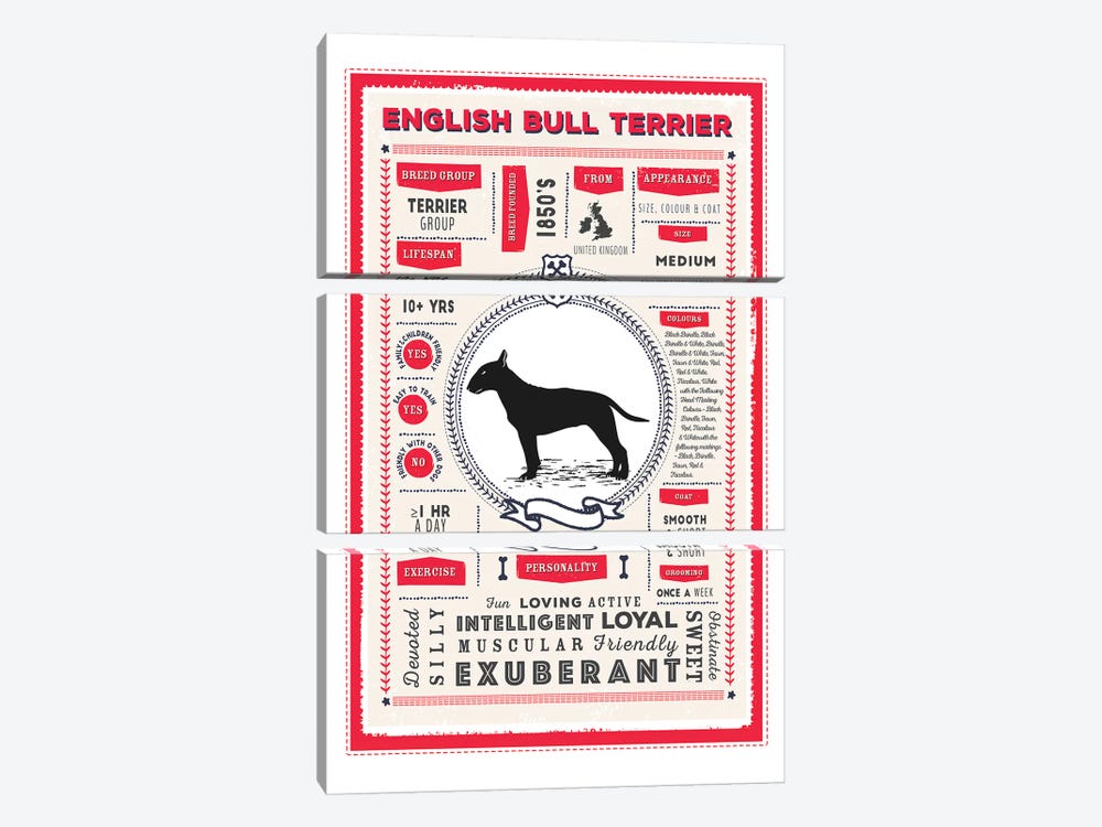 English Bull Terrier Infographic Red by PaperPaintPixels 3-piece Canvas Art