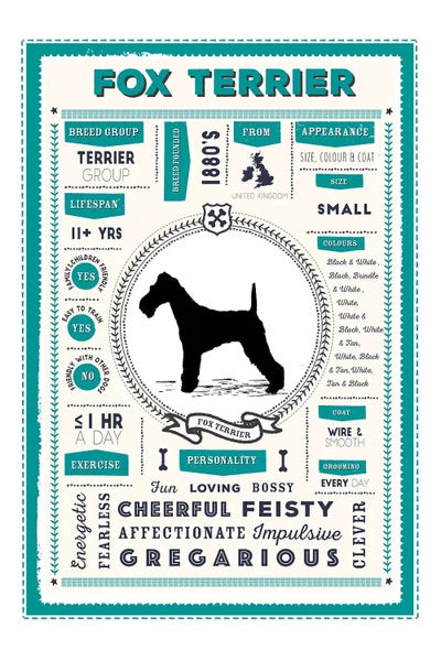 Wire Fox Terriers: Fox Terrier Infographic Blue by PaperPaintPixels