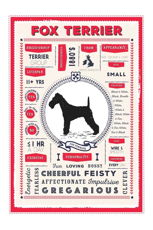 Fox Terrier Infographic Red