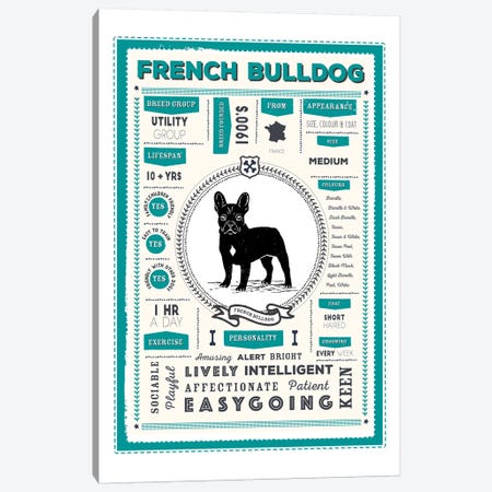 French Bulldog Infographic Blue Canvas Print #PPX222} by PaperPaintPixels Canvas Artwork