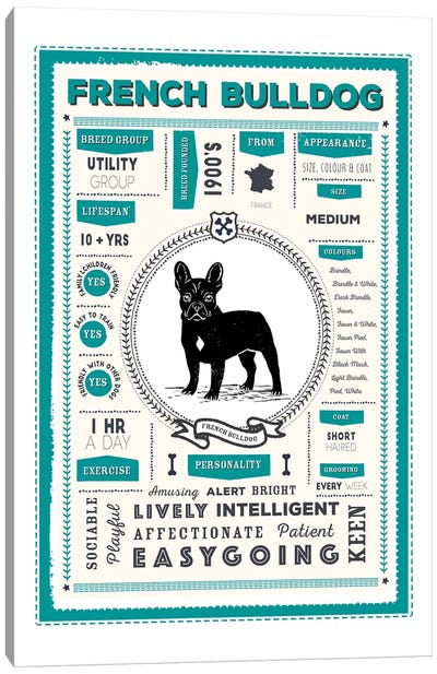 French Bulldog Infographic Blue Canvas Art Print - PaperPaintPixels