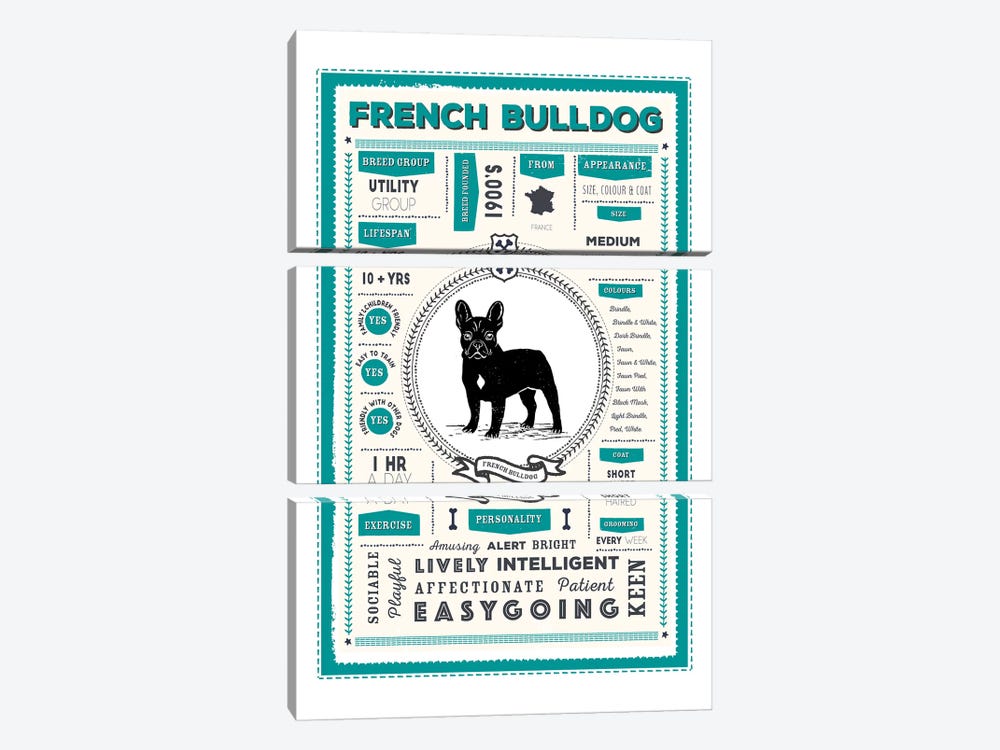 French Bulldog Infographic Blue by PaperPaintPixels 3-piece Canvas Wall Art