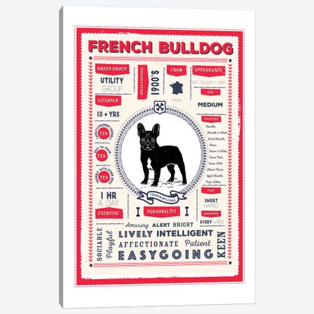 French Bulldog Infographic Red Canvas Print #PPX223} by PaperPaintPixels Canvas Wall Art