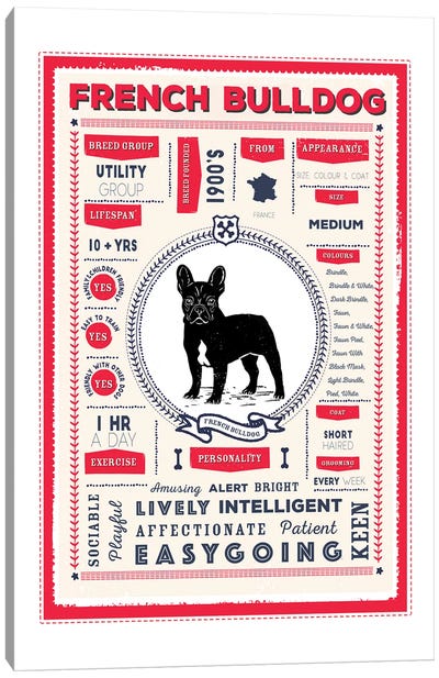 French Bulldog Infographic Red Canvas Art Print - French Bulldog Art