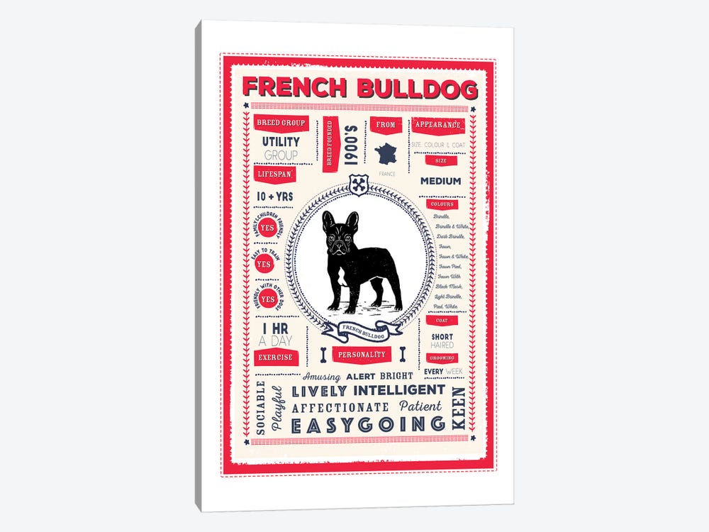 French Bulldog Infographic Red by PaperPaintPixels 1-piece Art Print