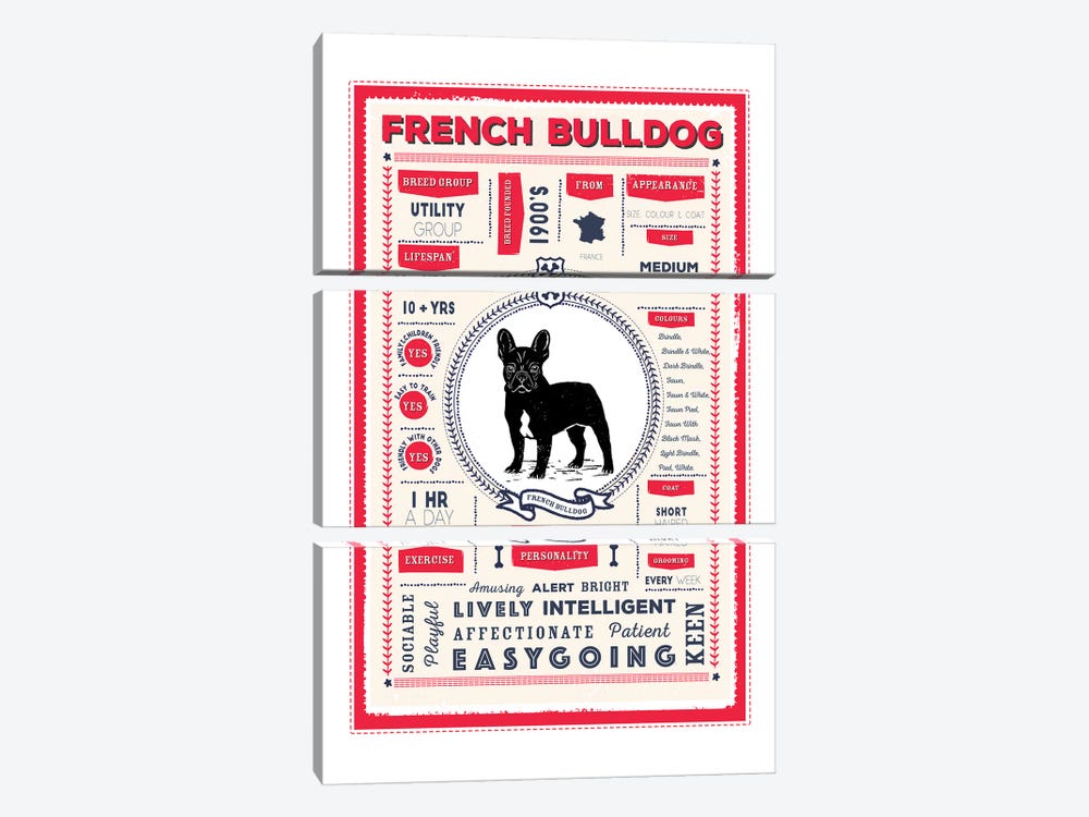 French Bulldog Infographic Red by PaperPaintPixels 3-piece Canvas Art Print