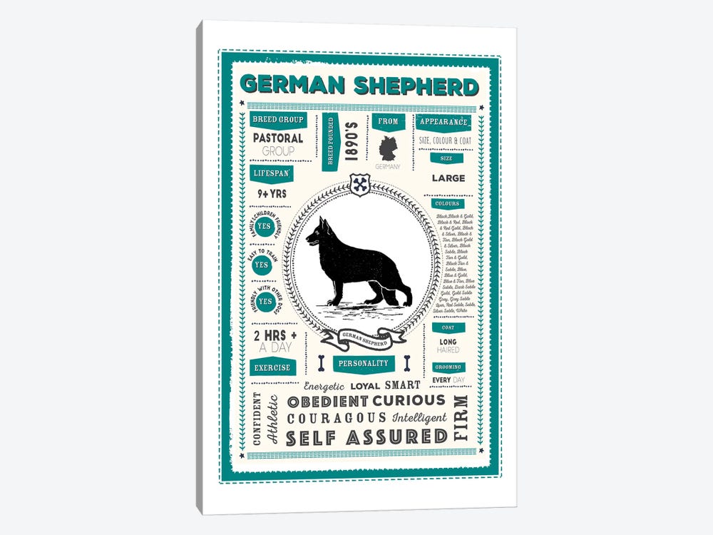 German Shepherd Infographic Blue by PaperPaintPixels 1-piece Canvas Artwork
