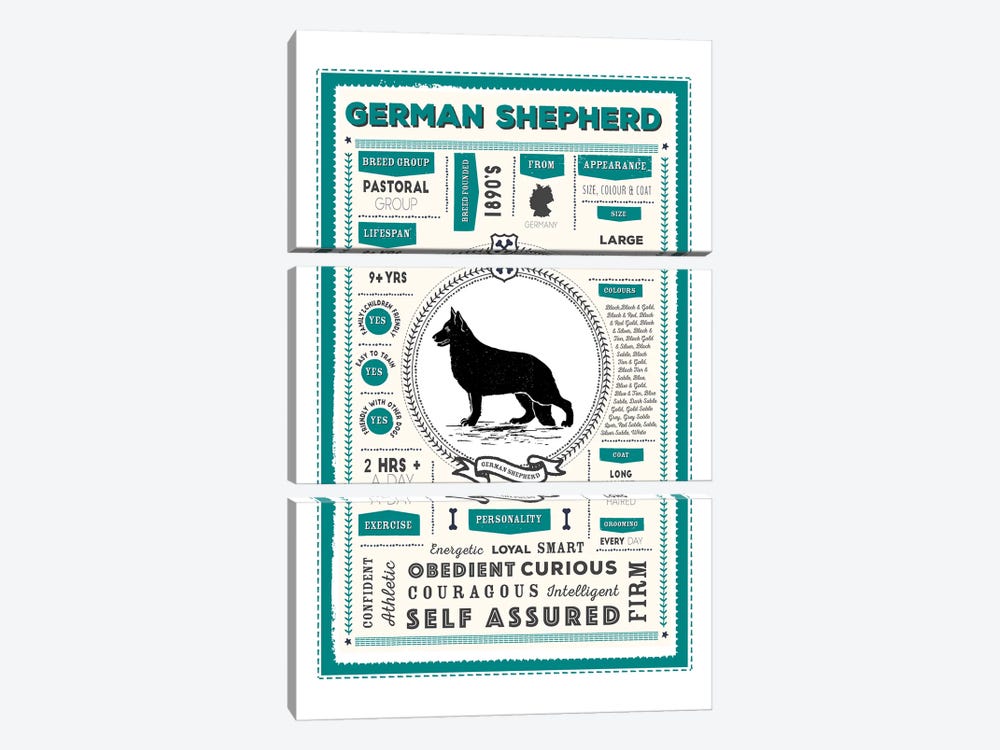 German Shepherd Infographic Blue by PaperPaintPixels 3-piece Canvas Wall Art