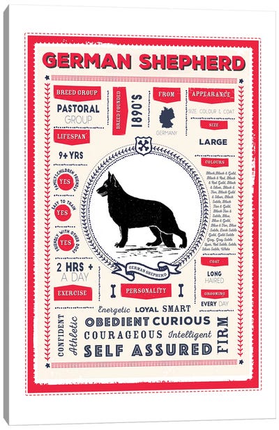 German Shepherd Infographic Red Canvas Art Print - PaperPaintPixels