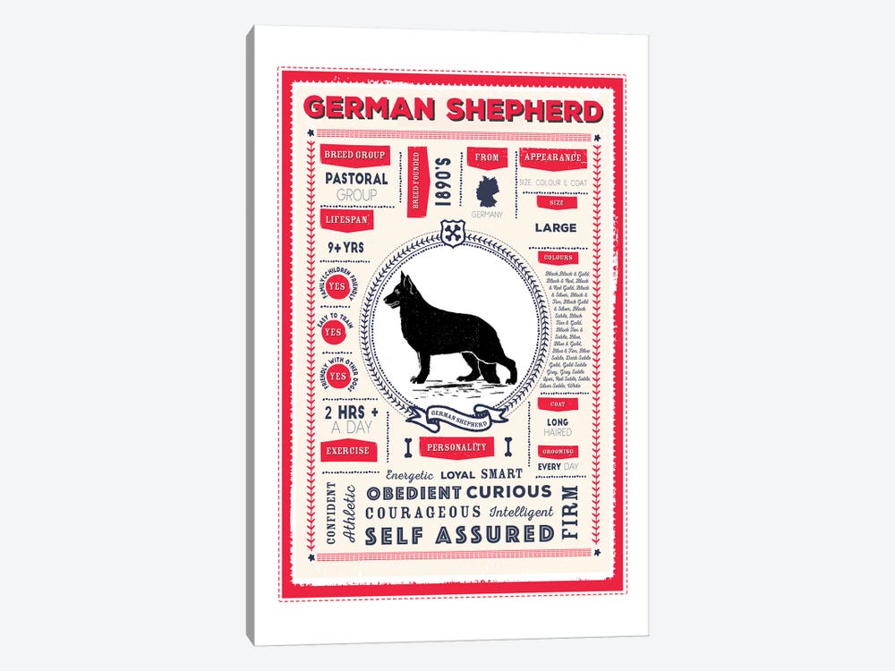 German Shepherd Infographic Red by PaperPaintPixels 1-piece Canvas Print