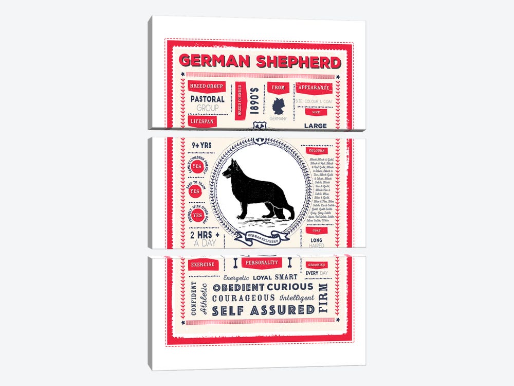 German Shepherd Infographic Red by PaperPaintPixels 3-piece Canvas Print