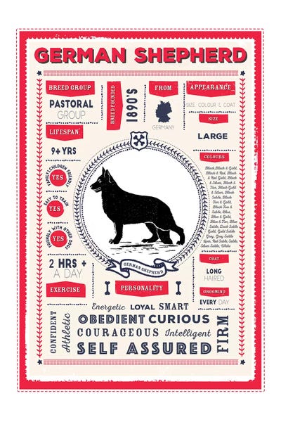 German Shepherds: German Shepherd Infographic Red by PaperPaintPixels