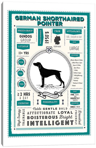 German Short Haired Pointer Infographic Blue Canvas Art Print