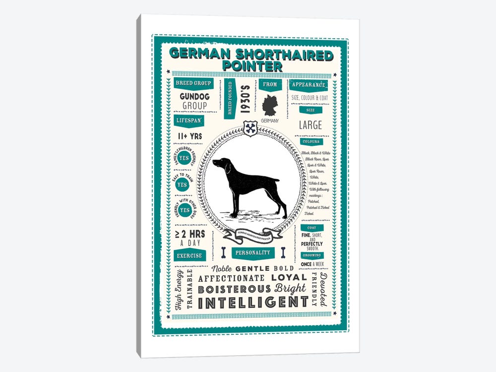 German Short Haired Pointer Infographic Blue by PaperPaintPixels 1-piece Canvas Wall Art