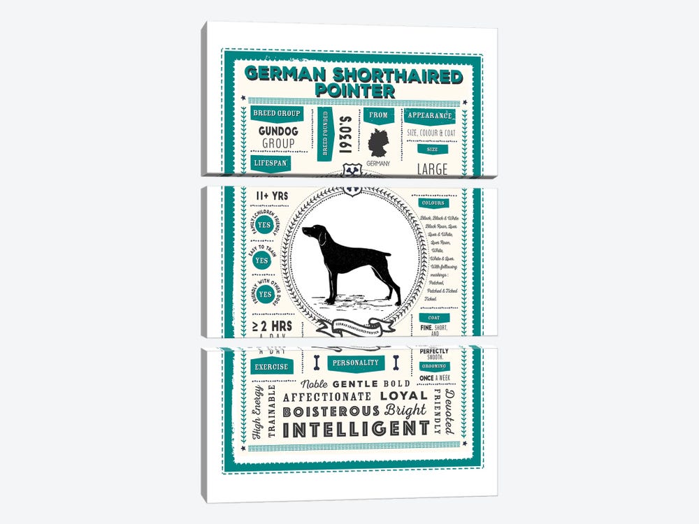 German Short Haired Pointer Infographic Blue by PaperPaintPixels 3-piece Canvas Artwork