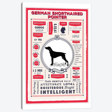 German Short Haired Pointer Infographic Red Canvas Print #PPX227} by PaperPaintPixels Canvas Art Print