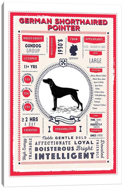 German Short Haired Pointer Infographic Red Canvas Art Print - PaperPaintPixels