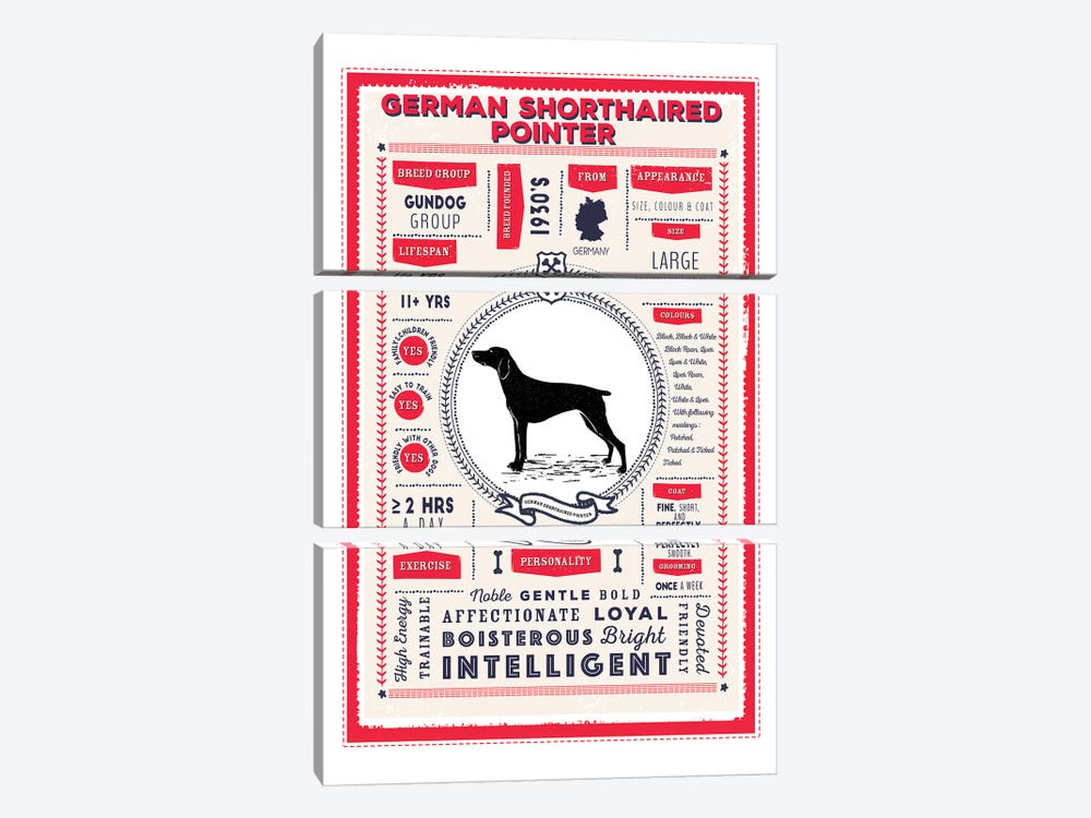 German Short Haired Pointer Infographic Red by PaperPaintPixels 3-piece Canvas Art Print