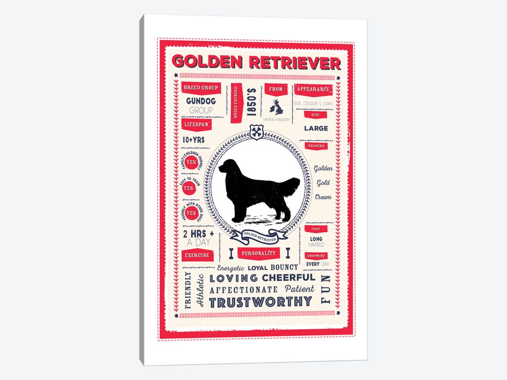 Golden Retriever Infographic Red by PaperPaintPixels 1-piece Canvas Artwork