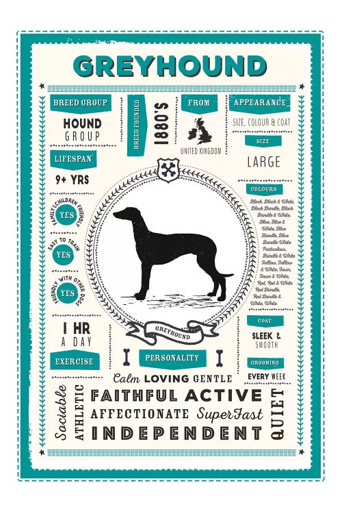 Greyhound Infographic Blue by PaperPaintPixels wall art