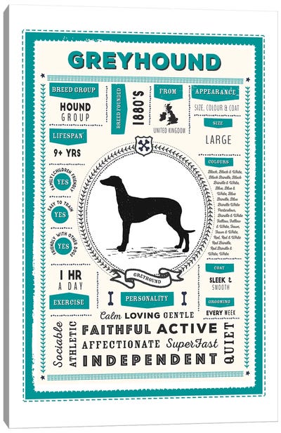 Greyhound Infographic Blue Canvas Art Print - Greyhound Art