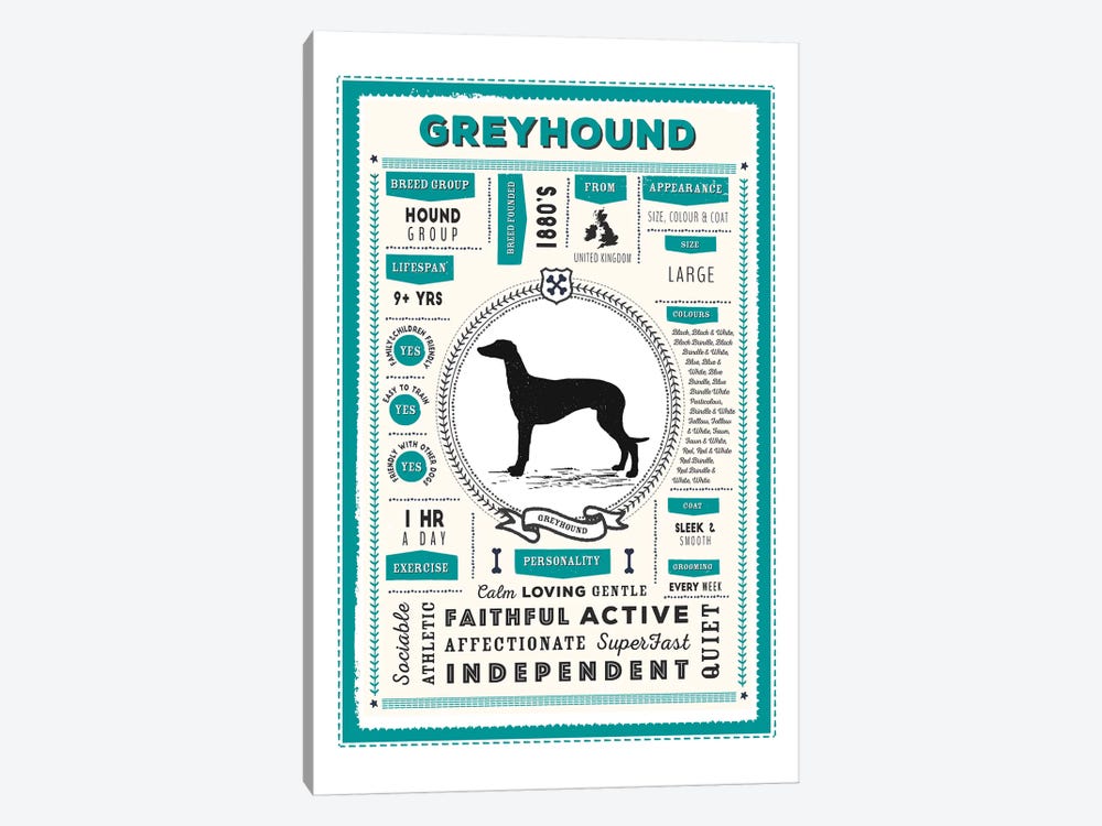 Greyhound Infographic Blue by PaperPaintPixels 1-piece Canvas Art Print