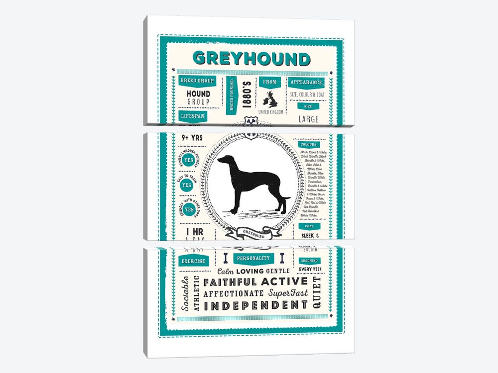 Greyhound Infographic Blue by PaperPaintPixels 3-piece Canvas Print