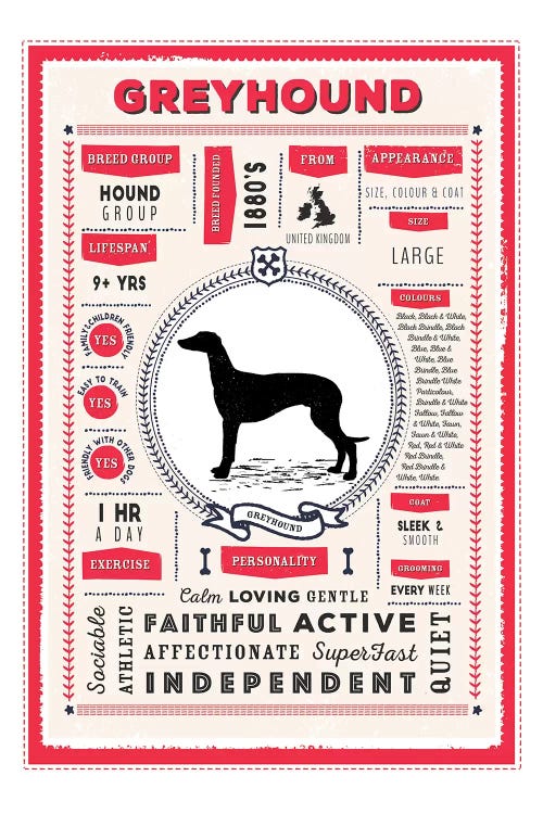 Greyhound Infographic Red by PaperPaintPixels wall art