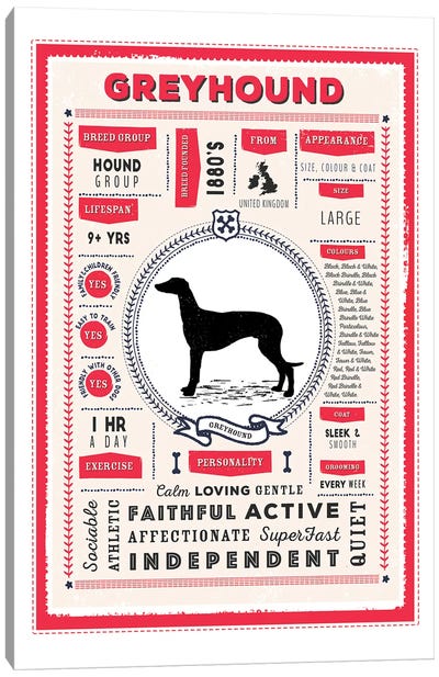 Greyhound Infographic Red Canvas Art Print - PaperPaintPixels